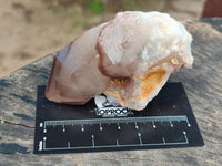 Natural Red Hematoid Quartz Crystals x 12 From Karoi, Zimbabwe