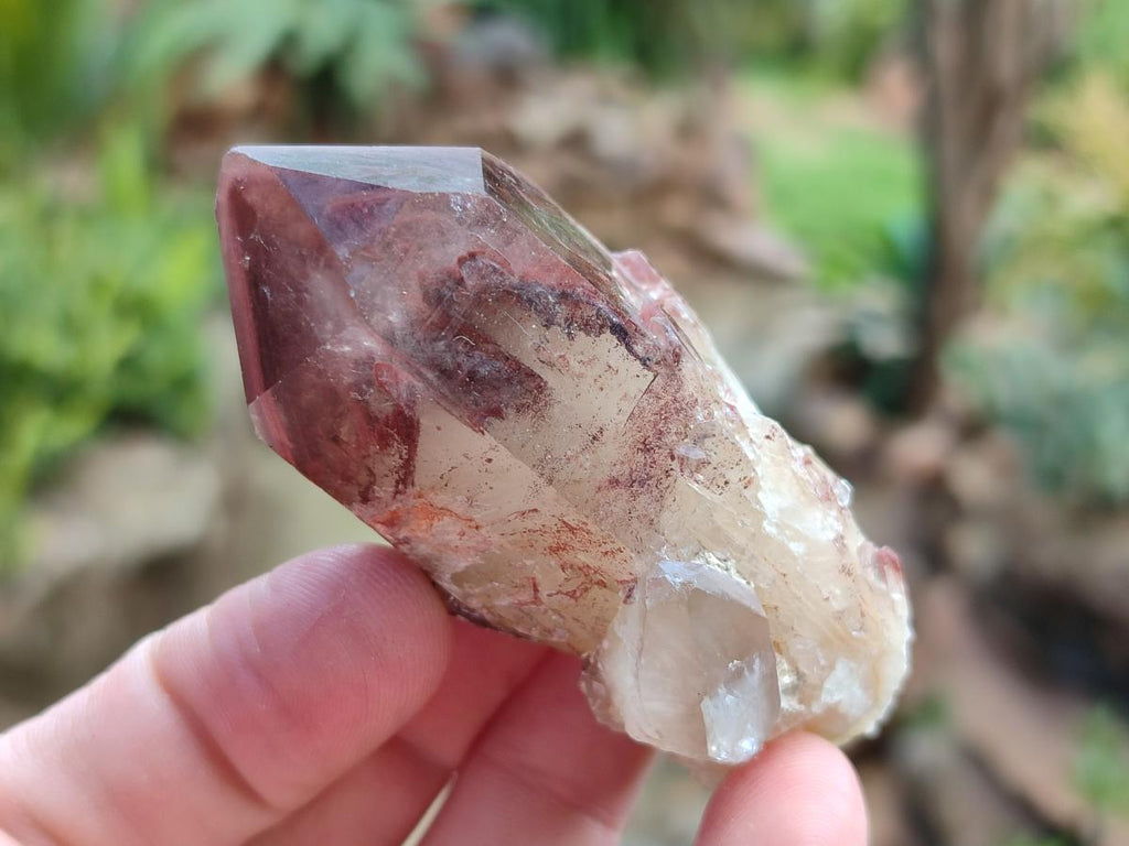 Natural Red Hematoid Quartz Crystals x 12 From Karoi, Zimbabwe