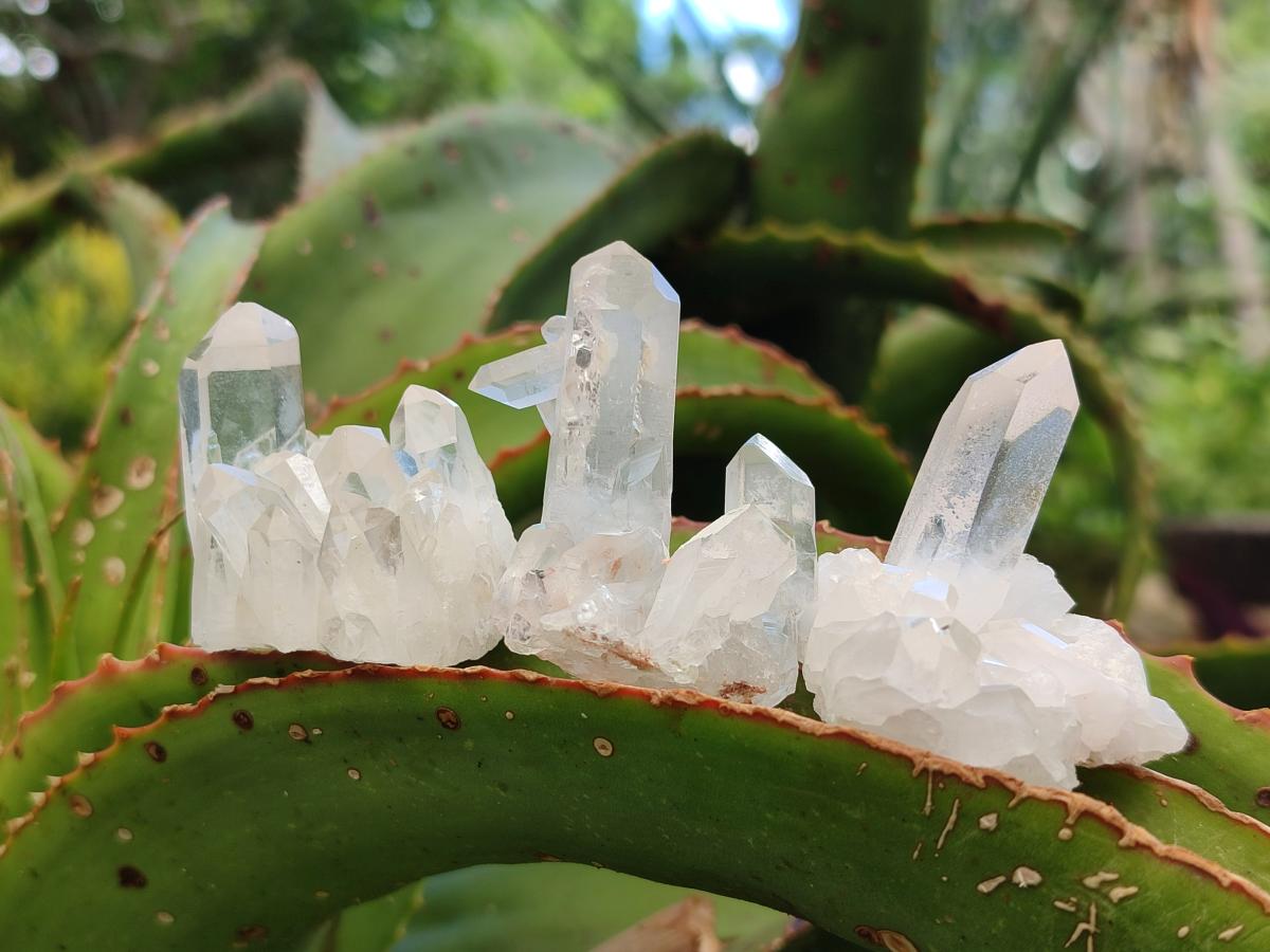 Natural Clear Quartz Clusters x 35 From Madagascar