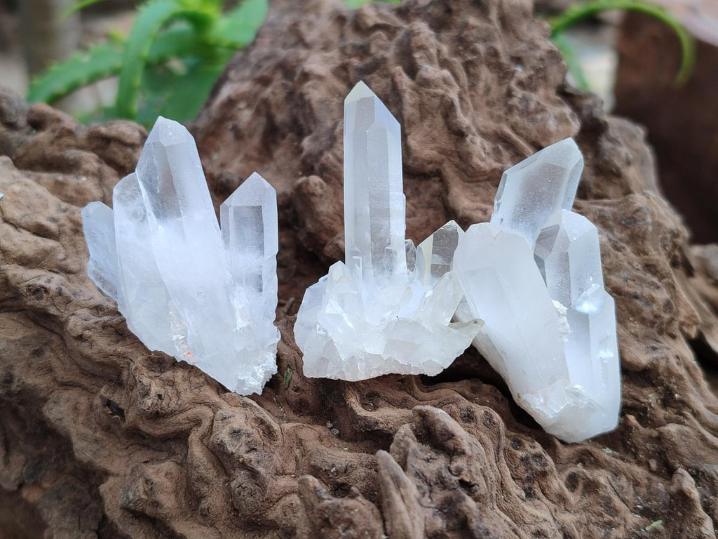 Natural Clear Quartz Clusters x 35 From Madagascar