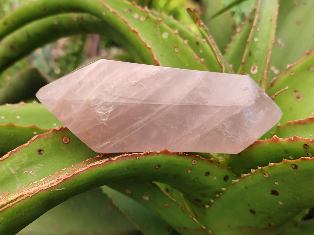 Polished Double Terminated Gemmy Rose Quartz Crystals x 6 From Madagascar