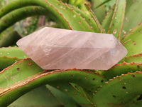 Polished Double Terminated Gemmy Rose Quartz Crystals x 6 From Madagascar