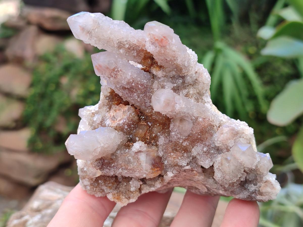 Natural Limonite Fairy Spirit Quartz Clusters x 6 From Boekenhouthoek, South Africa