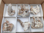 Natural Limonite Fairy Spirit Quartz Clusters x 6 From Boekenhouthoek, South Africa