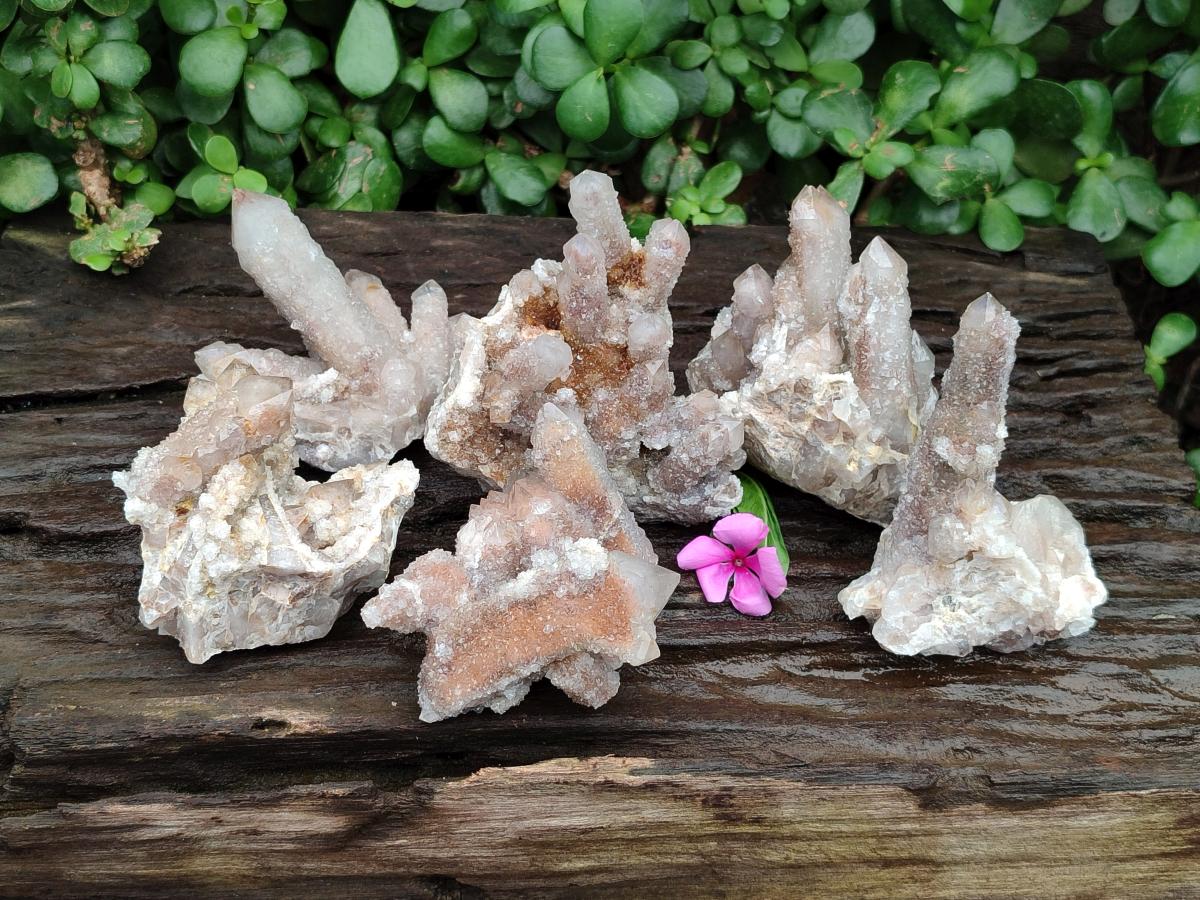 Natural Limonite Fairy Spirit Quartz Clusters x 6 From Boekenhouthoek, South Africa