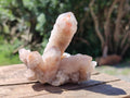 Natural Limonite Fairy Spirit Quartz Clusters x 6 From Boekenhouthoek, South Africa
