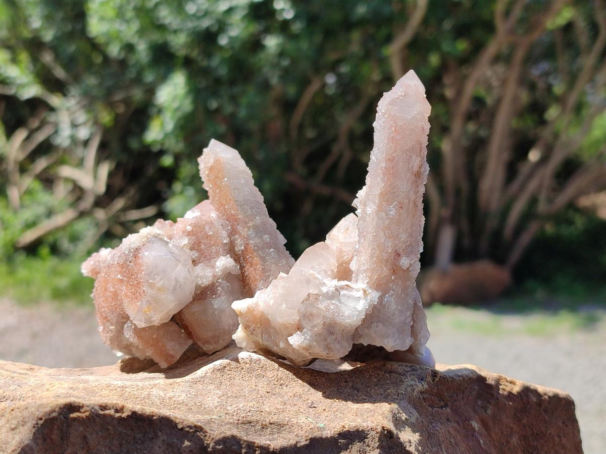 Natural Limonite Fairy Spirit Quartz Clusters x 6 From Boekenhouthoek, South Africa