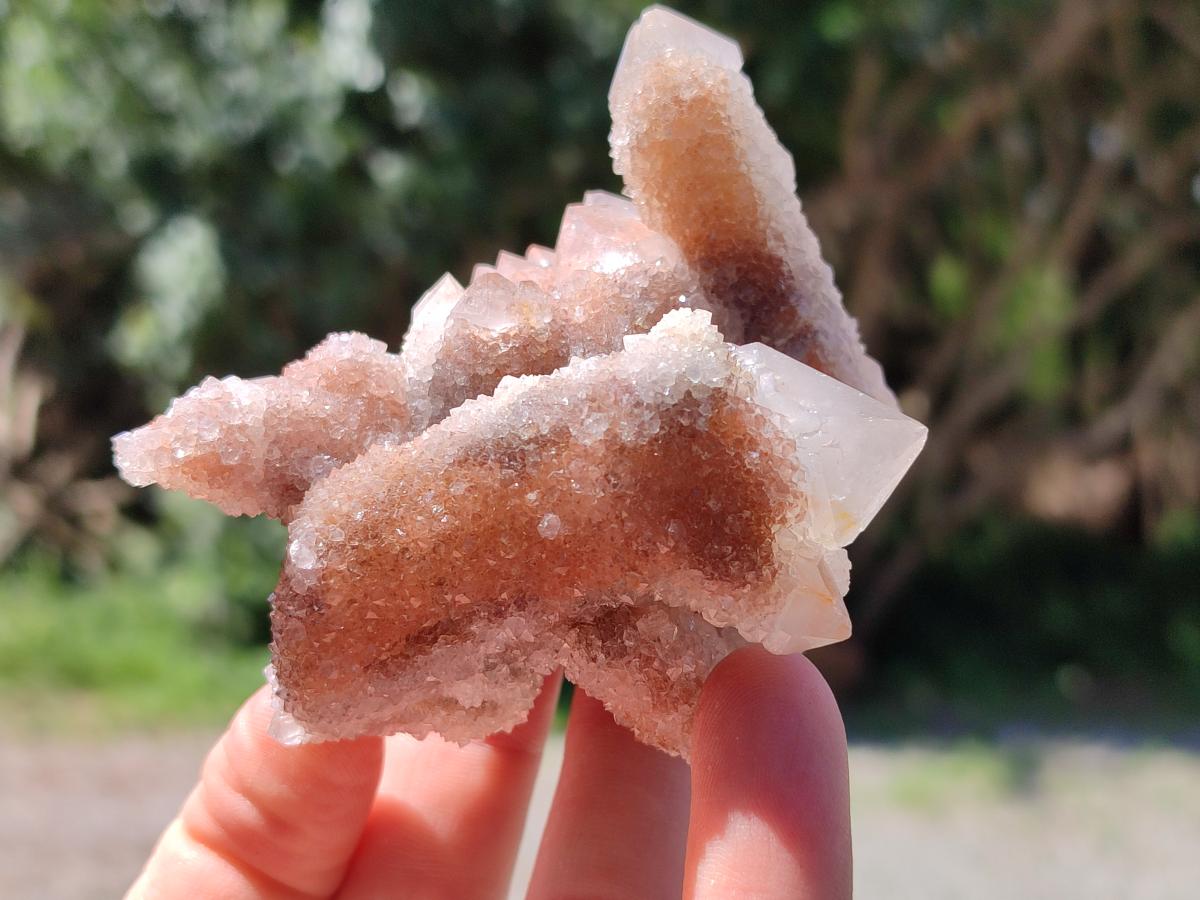 Natural Limonite Fairy Spirit Quartz Clusters x 6 From Boekenhouthoek, South Africa