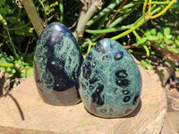 Polished Stromatolite Standing Free Forms x 3 From Katsepy, Madagascar