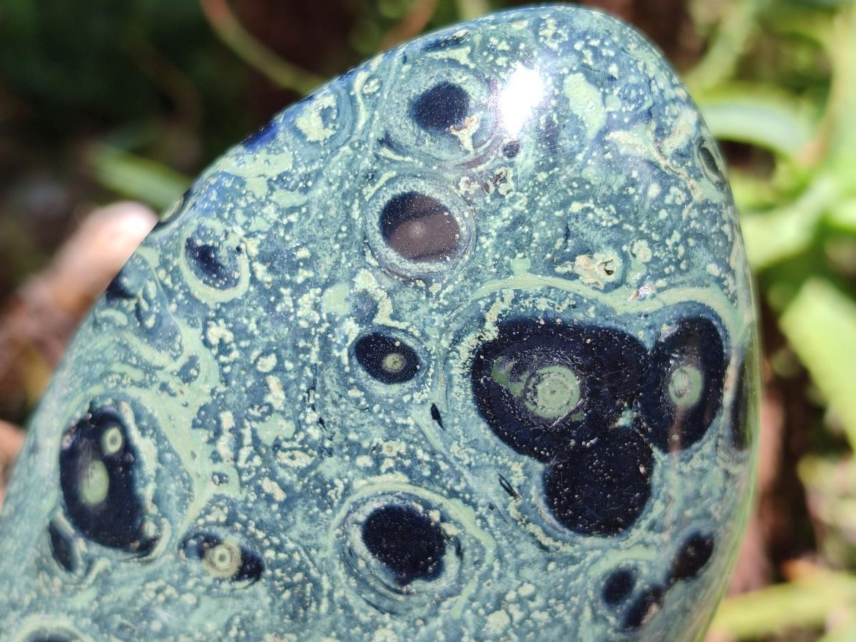 Polished Stromatolite Standing Free Forms x 3 From Katsepy, Madagascar