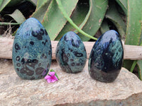 Polished Stromatolite Standing Free Forms x 3 From Katsepy, Madagascar