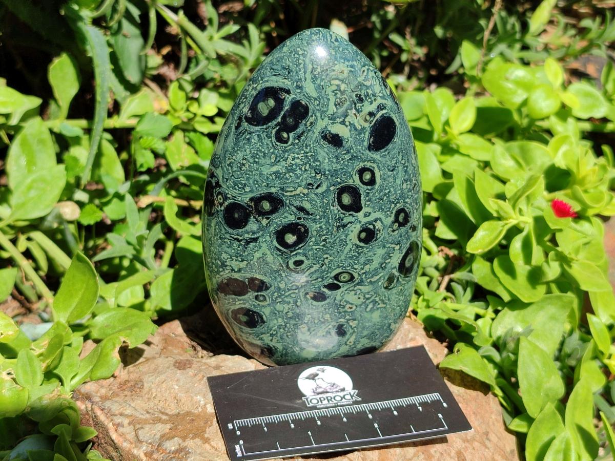 Polished Stromatolite Standing Free Forms x 3 From Katsepy, Madagascar