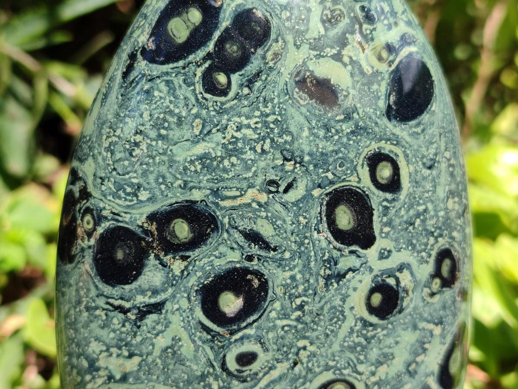 Polished Stromatolite Standing Free Forms x 3 From Katsepy, Madagascar