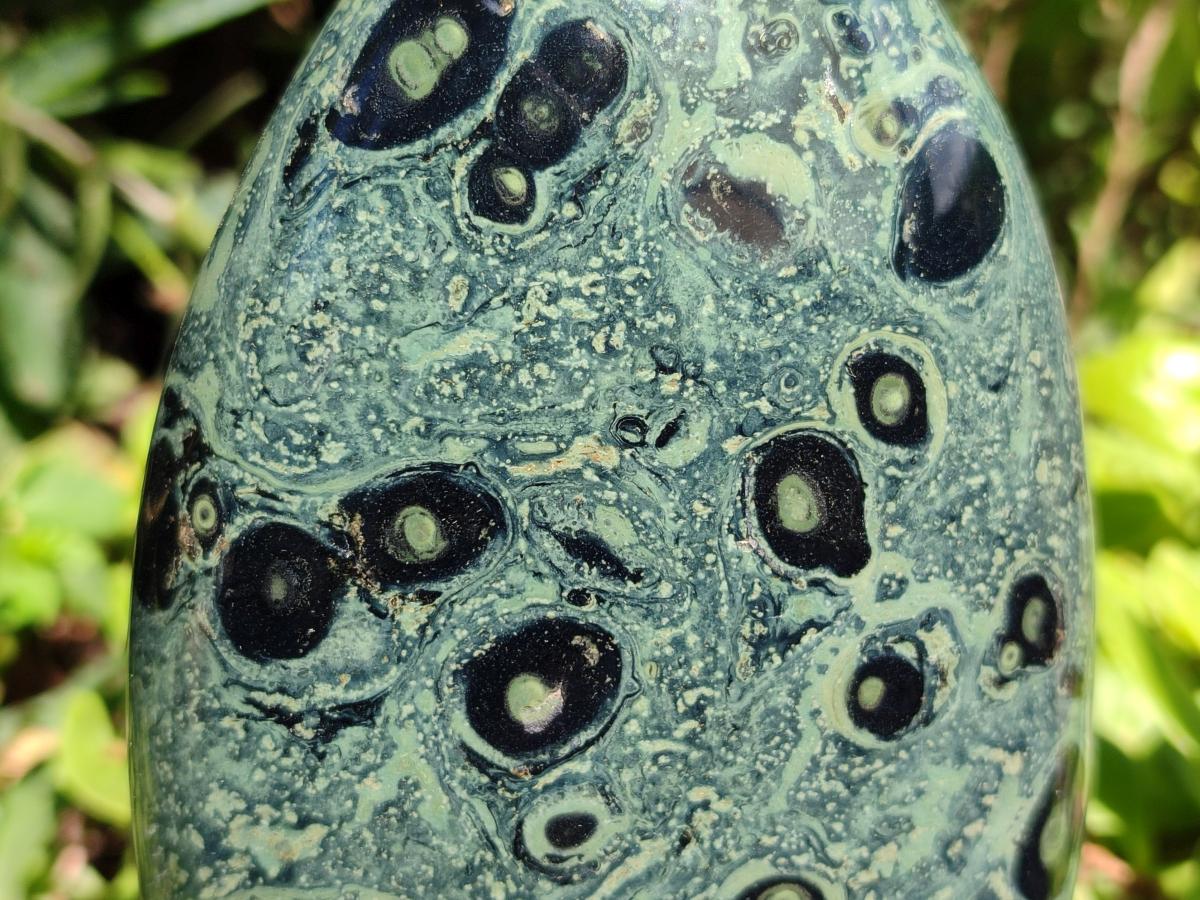 Polished Stromatolite Standing Free Forms x 3 From Katsepy, Madagascar