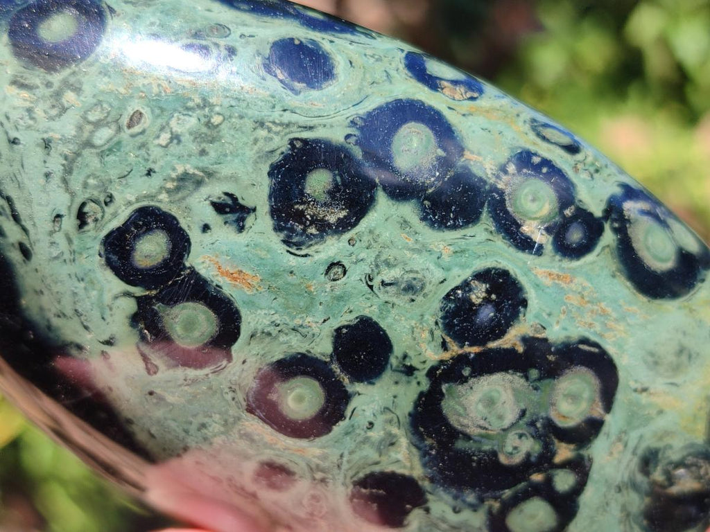 Polished Stromatolite Standing Free Forms x 3 From Katsepy, Madagascar