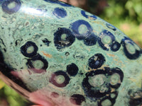 Polished Stromatolite Standing Free Forms x 3 From Katsepy, Madagascar