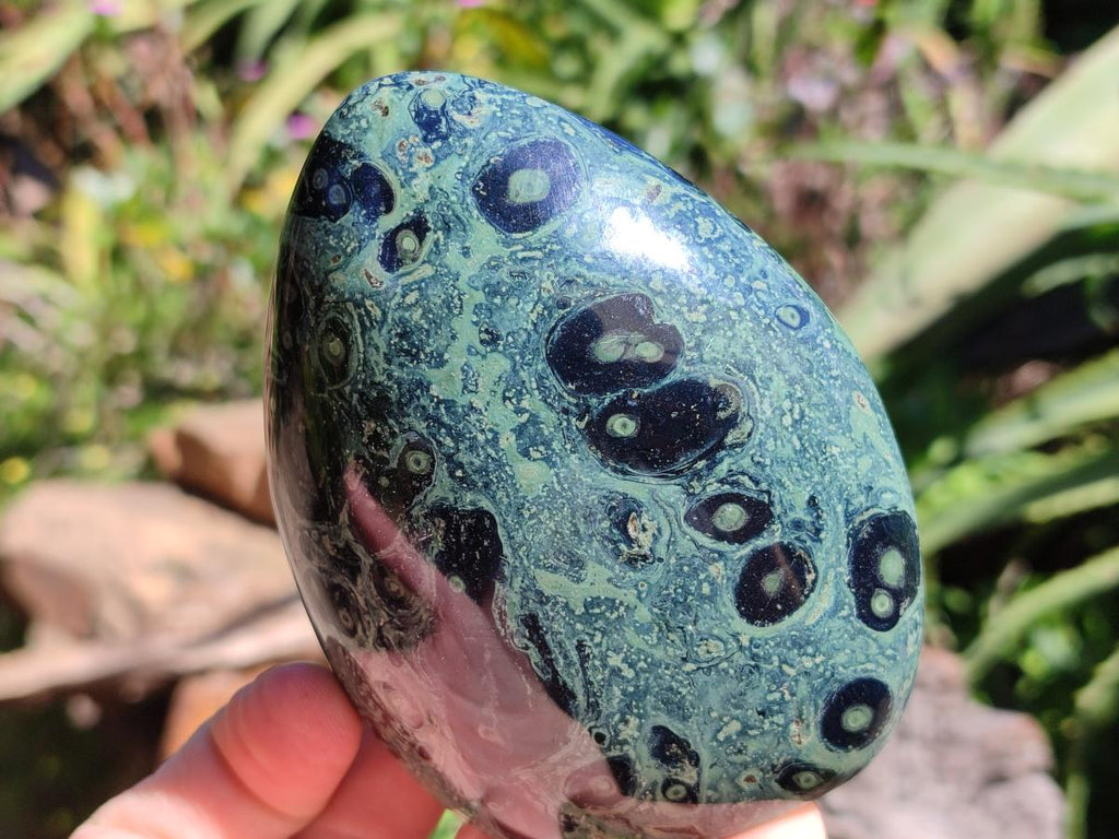 Polished Stromatolite Standing Free Forms x 3 From Katsepy, Madagascar