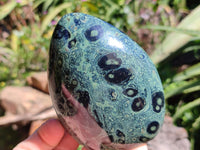 Polished Stromatolite Standing Free Forms x 3 From Katsepy, Madagascar