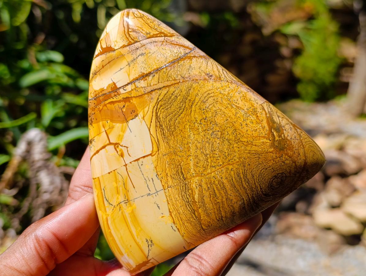 Polished Picture Stone Jasper Standing Free Forms x 3 From Ais-Ais, Namibia