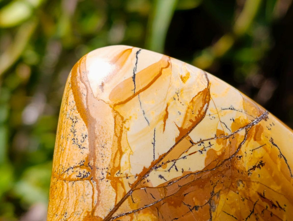 Polished Picture Stone Jasper Standing Free Forms x 3 From Ais-Ais, Namibia