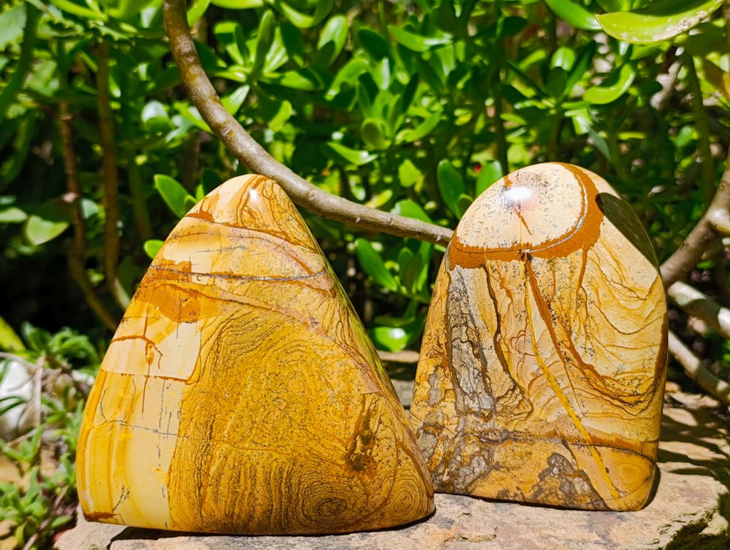 Polished Picture Stone Jasper Standing Free Forms x 3 From Ais-Ais, Namibia