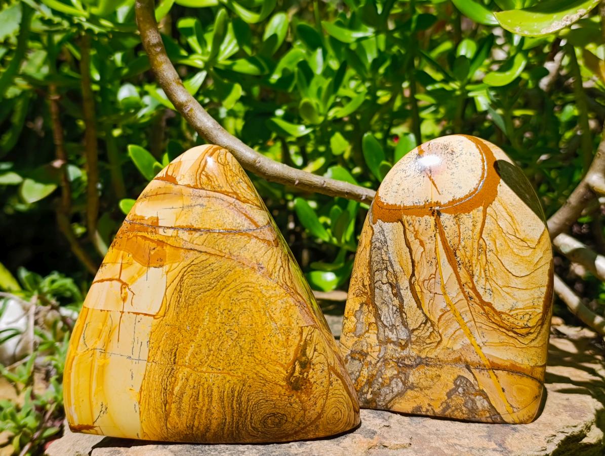 Polished Picture Stone Jasper Standing Free Forms x 3 From Ais-Ais, Namibia