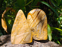 Polished Picture Stone Jasper Standing Free Forms x 3 From Ais-Ais, Namibia