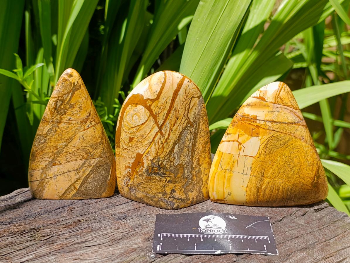 Polished Picture Stone Jasper Standing Free Forms x 3 From Ais-Ais, Namibia