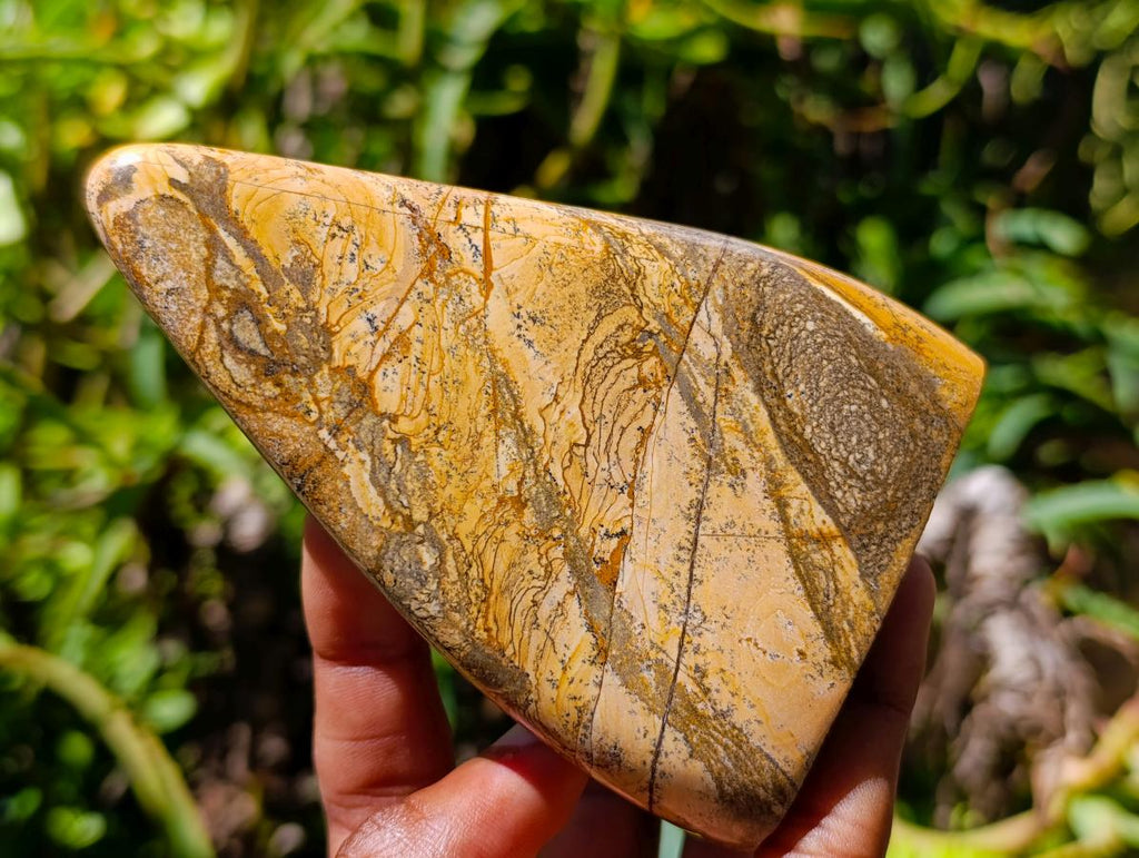 Polished Picture Stone Jasper Standing Free Forms x 3 From Ais-Ais, Namibia