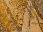 Polished Picture Stone Jasper Standing Free Forms x 3 From Ais-Ais, Namibia
