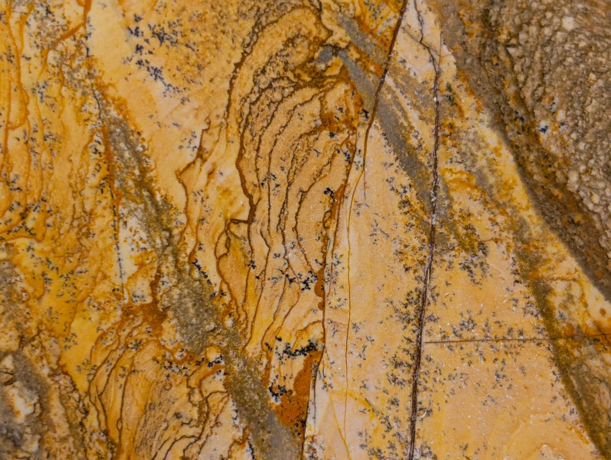 Polished Picture Stone Jasper Standing Free Forms x 3 From Ais-Ais, Namibia