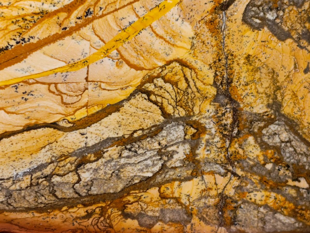 Polished Picture Stone Jasper Standing Free Forms x 3 From Ais-Ais, Namibia