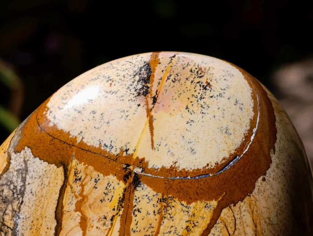 Polished Picture Stone Jasper Standing Free Forms x 3 From Ais-Ais, Namibia