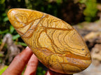 Polished Picture Stone Jasper Standing Free Forms x 3 From Ais-Ais, Namibia