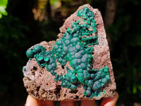 Natural Crystalline Ball Malachite on Quartz and Dolomite Specimens x 2 From Mindingi Mine, Kambove, Congo