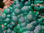 Natural Crystalline Ball Malachite on Quartz and Dolomite Specimens x 2 From Mindingi Mine, Kambove, Congo