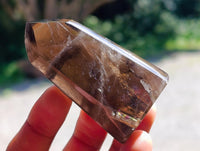 Polished Mixture of Smokey Quartz Crystals x 12 From Madagascar