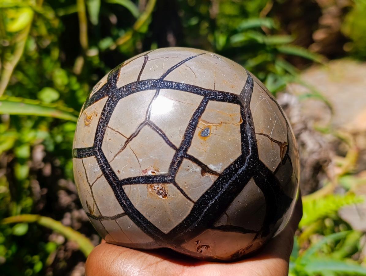 Polished Septerye Sauvage "Dragons Egg" Geode x 1 From Mahajanga, Madagascar