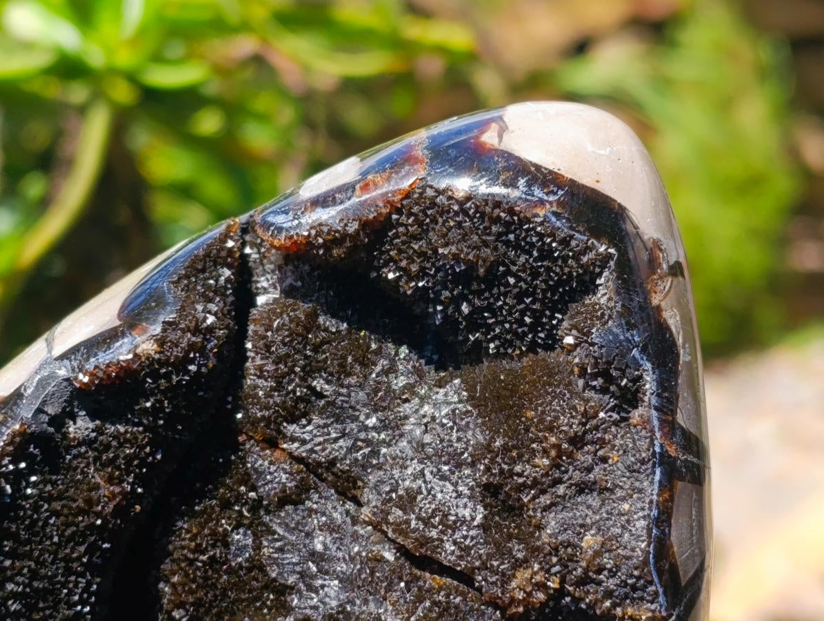 Polished Septerye Sauvage "Dragons Egg" Geode x 1 From Mahajanga, Madagascar