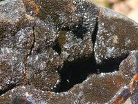 Polished Septerye Sauvage "Dragons Egg" Geode x 1 From Mahajanga, Madagascar