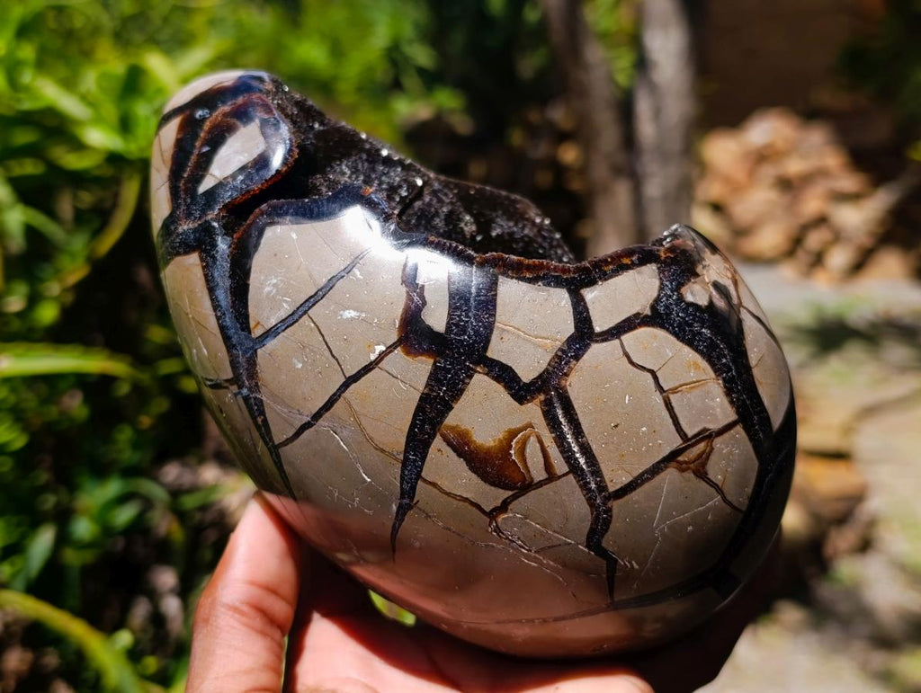 Polished Septerye Sauvage "Dragons Egg" Geode x 1 From Mahajanga, Madagascar