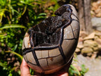 Polished Septerye Sauvage "Dragons Egg" Geode x 1 From Mahajanga, Madagascar