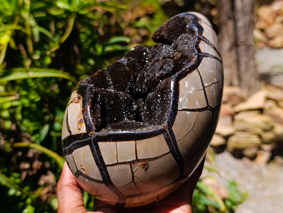 Polished Septerye Sauvage "Dragons Egg" Geode x 1 From Mahajanga, Madagascar