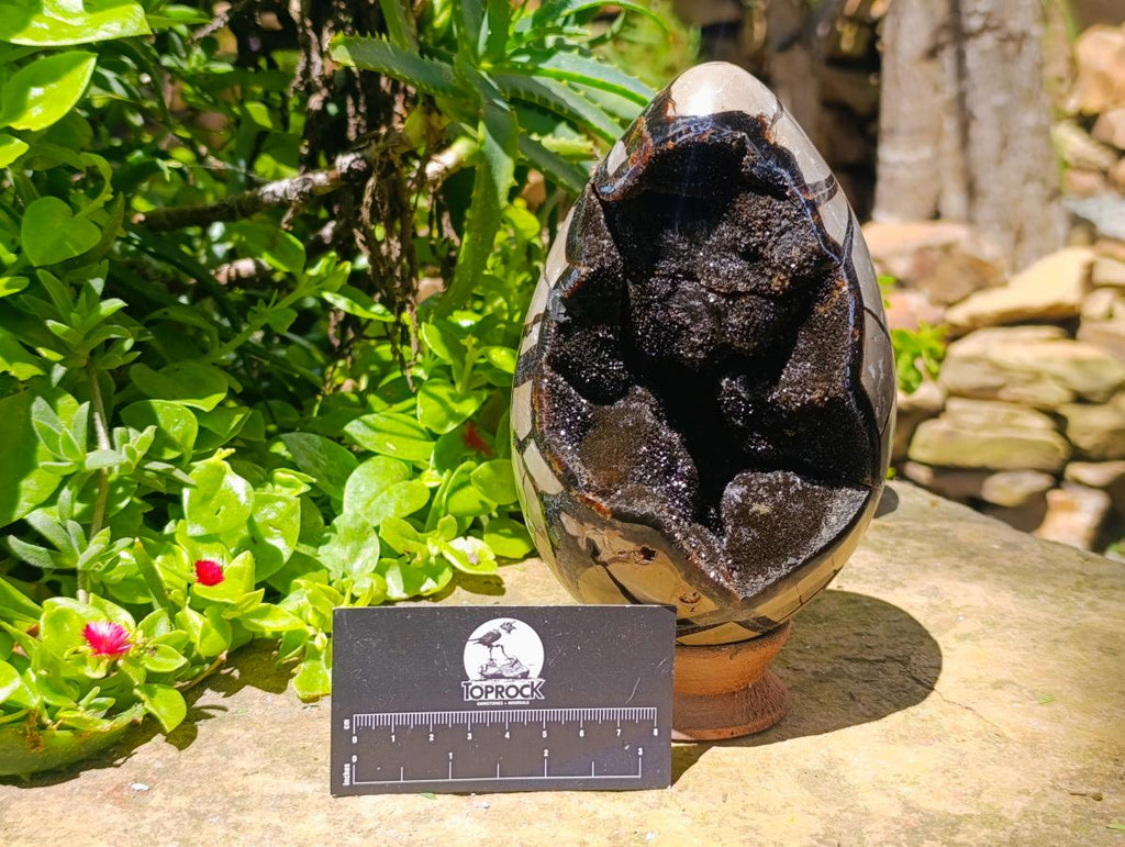 Polished Septerye Sauvage "Dragons Egg" Geode x 1 From Mahajanga, Madagascar