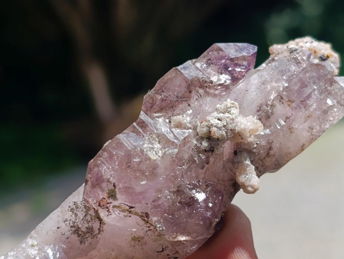 Natural Window Amethyst Crystals x 6 From Chiredzi, Zimbabwe