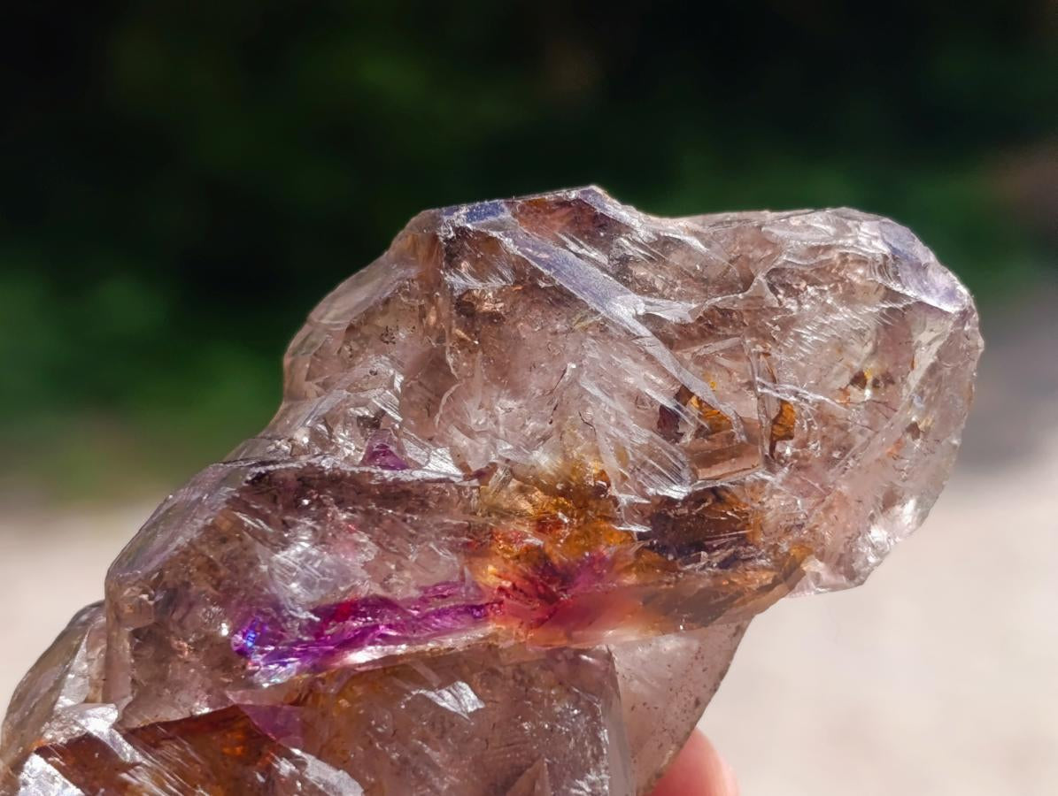Natural Window Amethyst Crystals x 6 From Chiredzi, Zimbabwe