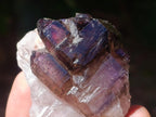 Natural Window Amethyst Crystals x 6 From Chiredzi, Zimbabwe