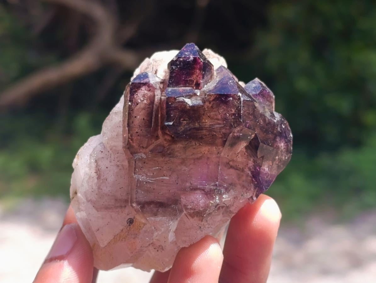 Natural Window Amethyst Crystals x 6 From Chiredzi, Zimbabwe