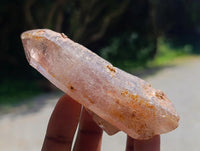 Natural Window Amethyst Crystals x 6 From Chiredzi, Zimbabwe