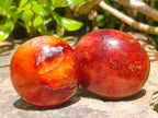Polished Carnelian Agate Gemstone Galets x 12 From Madagascar